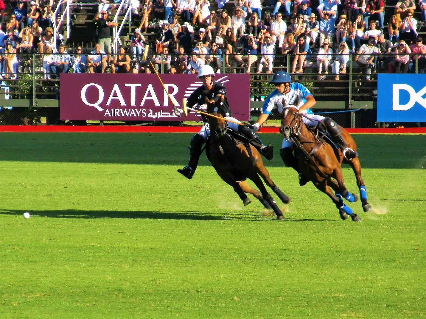 polo match